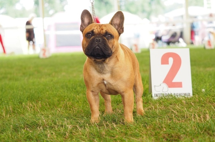 otec Zion Argus Alsamar